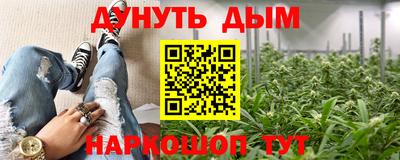 дживик Кимры