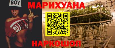наркотики Кингисепп