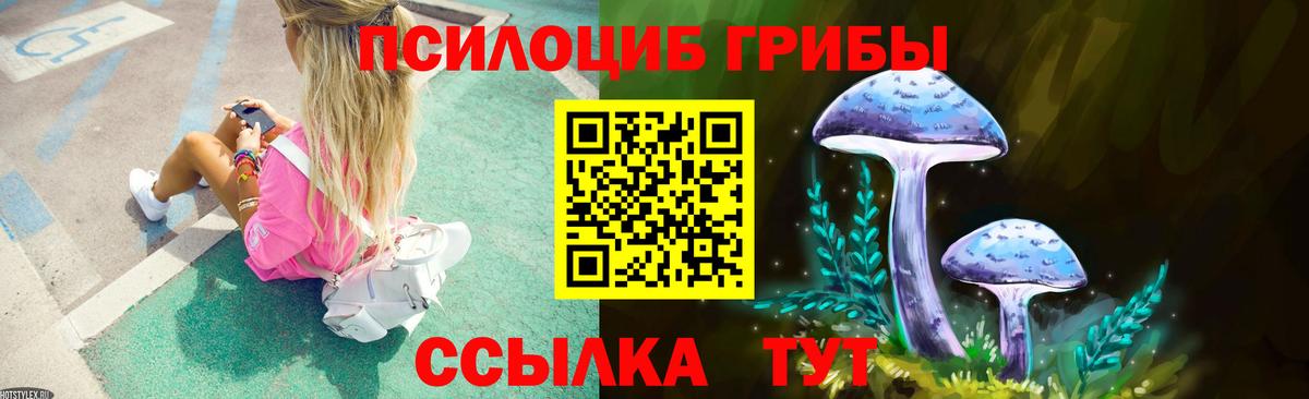 Кропоткин  Галлюциногенные грибы Psilocybe  Вход с VPN 